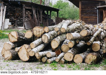 Stacked Birch Trees. Sawmill Background. Wood Industry Texture. Tree Logs. Pile Of Stacked Wood. Cro