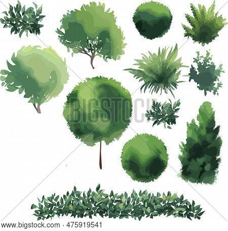 Pretty Trees Bushes Shrubs Top View Vector