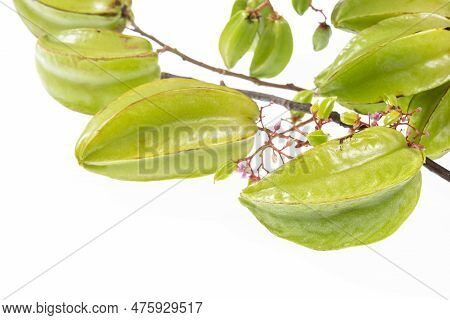Star Fruit Or Carambola Green - Averrhoa Carambola; Photo On White Background