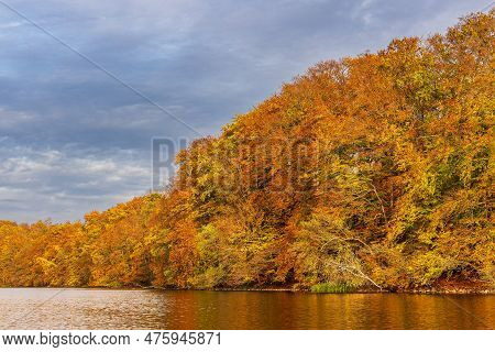 View Over The Lake Schmaler Luzin To A Landscape In Autumn Near Feldberg, Germany.