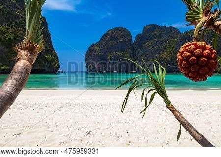 The Legendary Maya Bay Beach Without People With A Beautiful Beach Of Sand, Clear Turquoise Water An