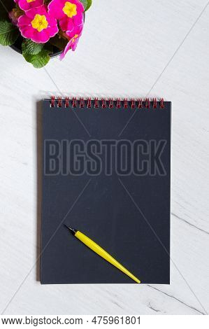 Scratch Painting Paper With Flower On It And Flower Pot.