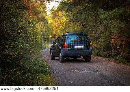 Off-road Car Driving Through The Forest In Autumn