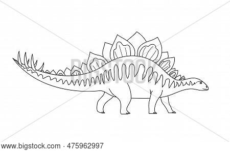 Large Stegosaurus Lizard. Tail With Spikes. Herbivorous Dinosaur Of The Jurassic Period. Prehistoric