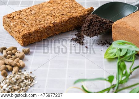 Ingredients For Transplanting Domestic Plants, Soil Composition, Drainage, Coconut Briquette And Coc