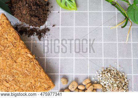 Ingredients For Transplanting Domestic Plants, Soil Composition, Drainage, Coconut Briquette And Coc