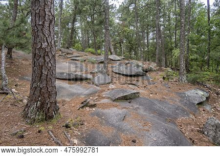 Stone Mountain, Georgia, United States. Beautiful Nature