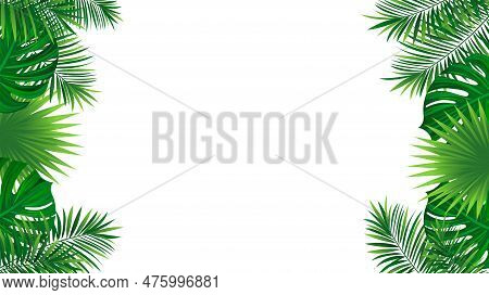 Tropical Frame With Exotic Jungle Plants, Palm Leaves, Monstera And Place For Text. Folliage Vector 