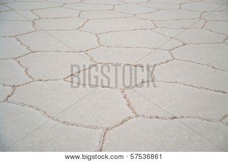 Polygonal Patterns On Salt Flat