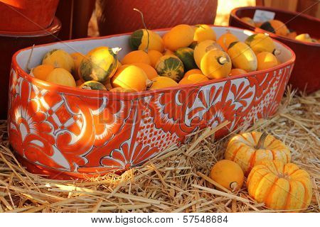 small gourds and punpkins in ceramic bowl