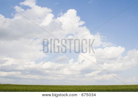雲