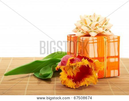 Tulip on a bamboo cloth and the gift box