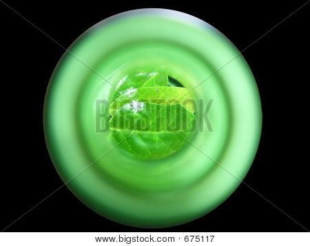 Bouteille