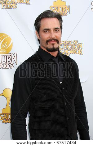 LOS ANGELES - JUN 26:  Victor Webster at the 40th Saturn Awards at the The Castaways on June 26, 2014 in Burbank, CA