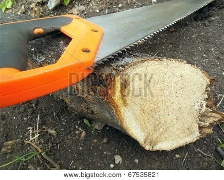 Hacksaw And Log