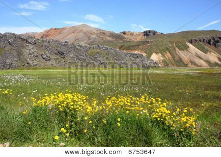 Iceland