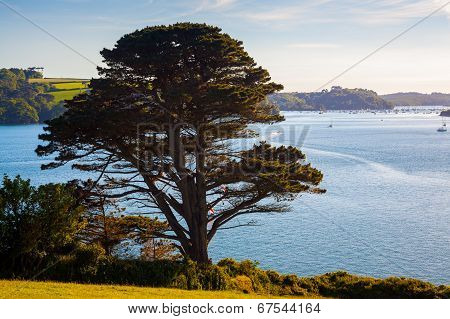 River Helford Cornwall