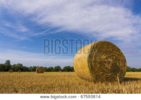 Hay bales
