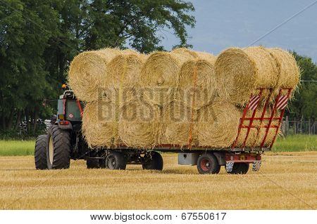 Hay bales