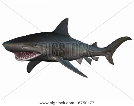 Tigershark
