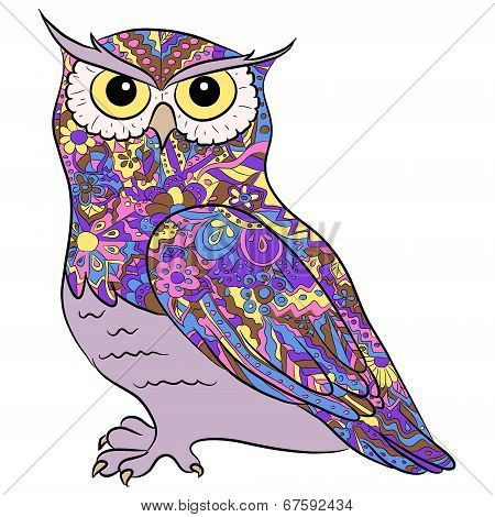 hand drawing owl