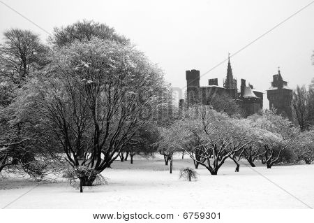 Bute Park, Cardiff