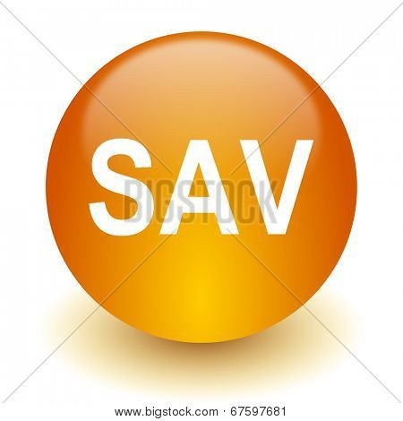 sav icon
