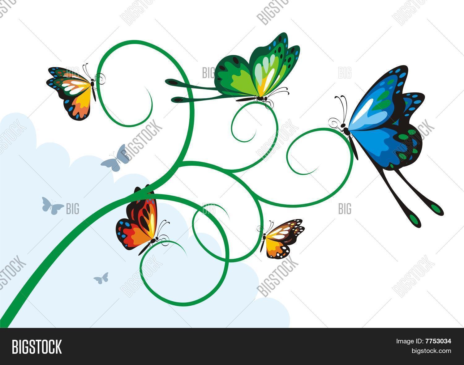 Image Preview