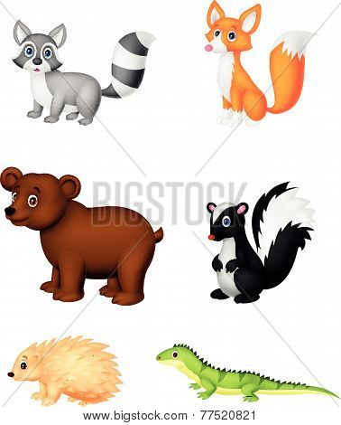 Wild animal cartoon
