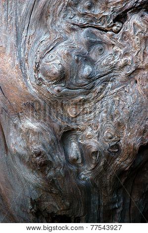 Weathered Burl Texture