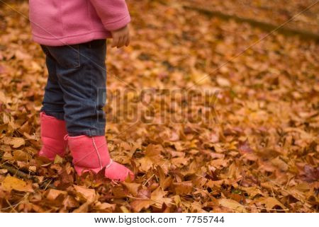 Dziewczyna w Autumn odchodzi