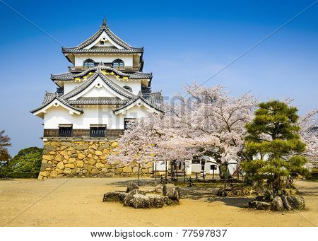 Hikone Castle during spring season in Hikone, Shiga, Japan.