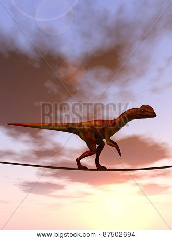 Concept or conceptual abstract business metaphor as wild heavy dinosaurus balancing on rope over sunset sky background