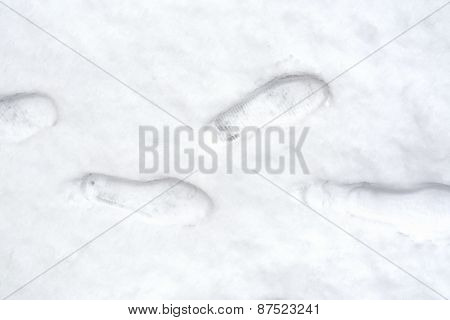 Tracks person in snow