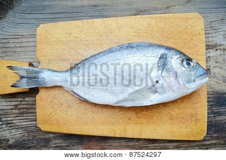 Uncooked fish dorado on wooden board