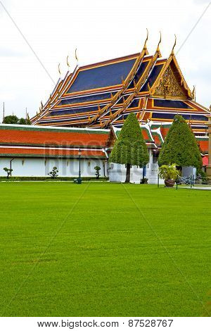 Pavement Gold    Temple   In   Bangkok Tree