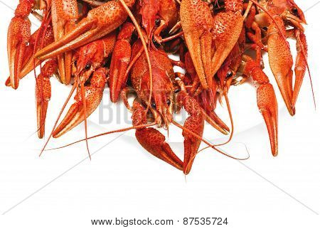 Red Boiled Crawfish On A White Background