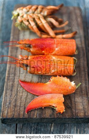 Lobster