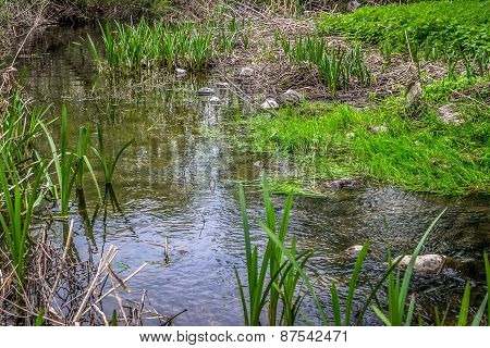 Creek