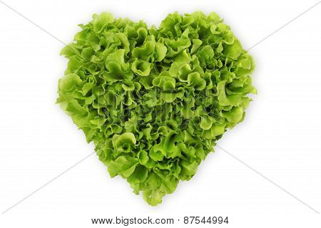 heart shaped salad lettuce on white background