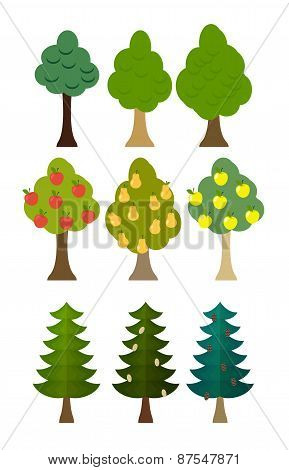 set Tree icon fruit trees, conifers, forest trees. Vector illustration