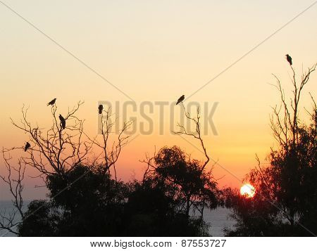 Sunset Over The Sea