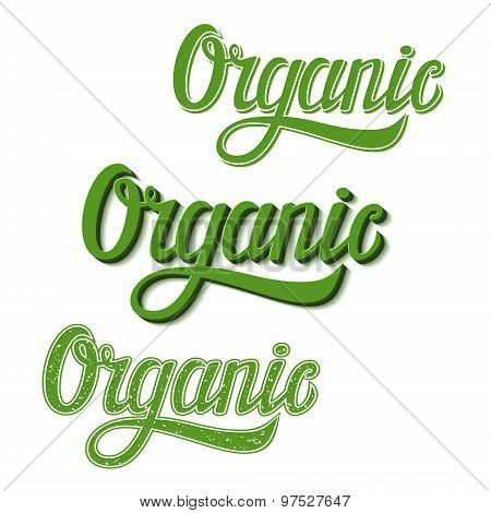 Organic Typography Illustration