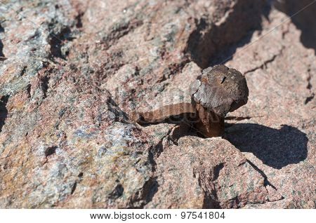 Rusty Nail Hammered In Natural Stone