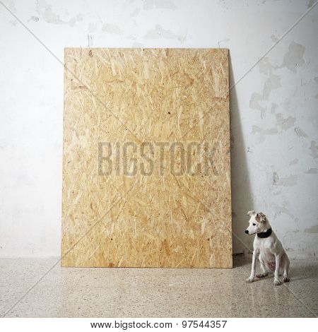 Blank wooden natural frame and littel dog