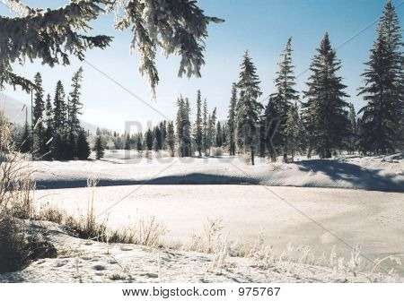 Vinter historie