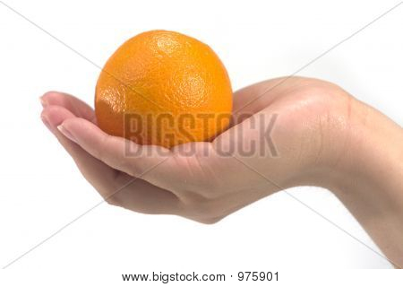 Hand Held Orange