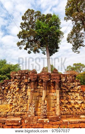 Elephant Terrace, Ankgor Thom, Cambodia