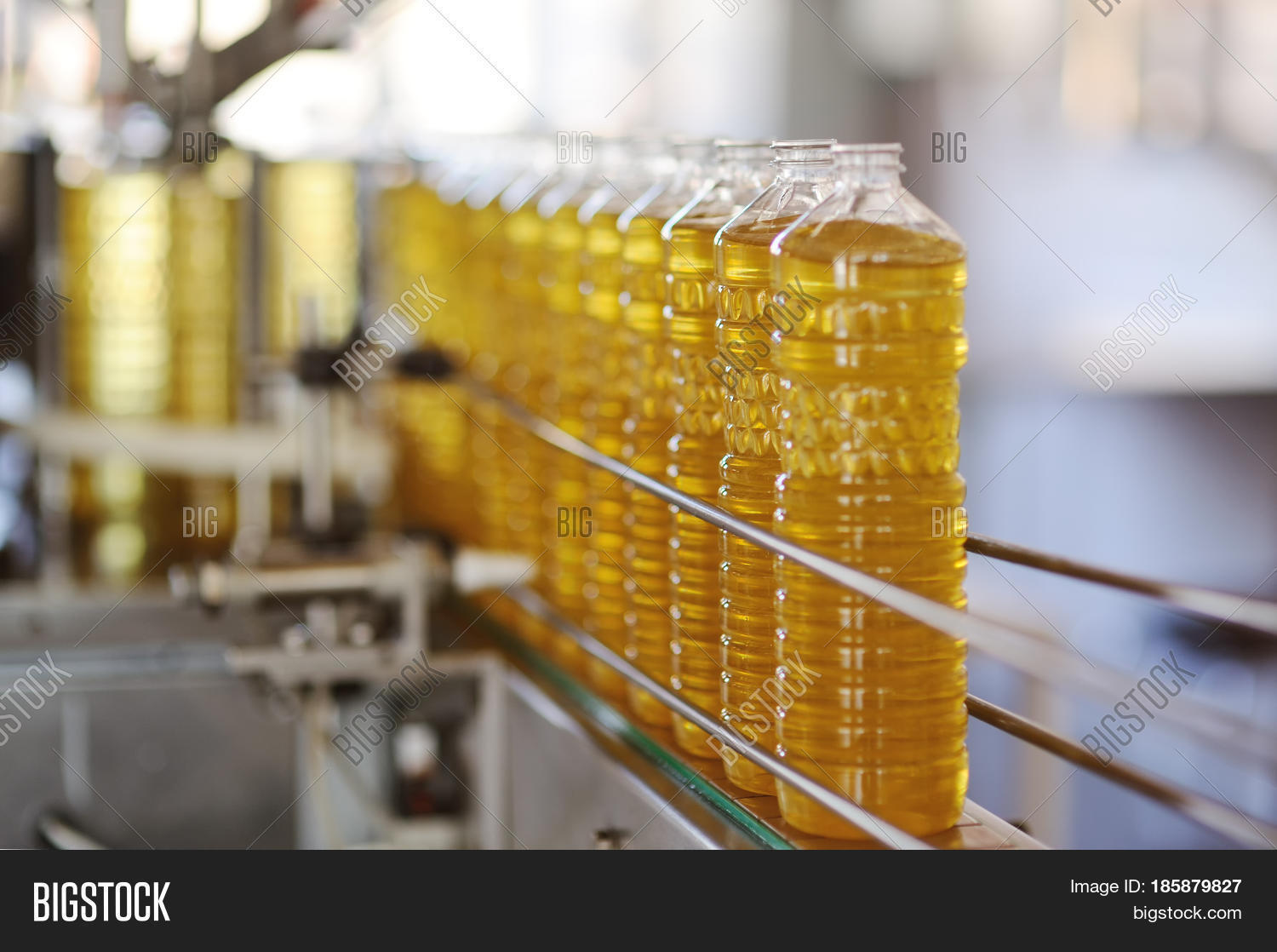 Sunflower Oil. Line Image & Photo (Free Trial) Bigstock