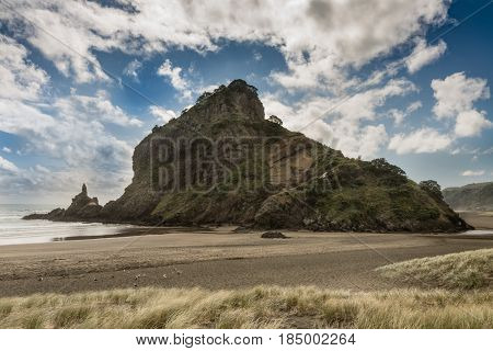 Auckland New Zealand - March 2 2017: Lion rock on sandy Piha beach of Tasman Sea fills full frame under blue sky with white clouds. Dunes in forefront.